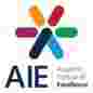 AIE, Academic Institute of Excellence logo